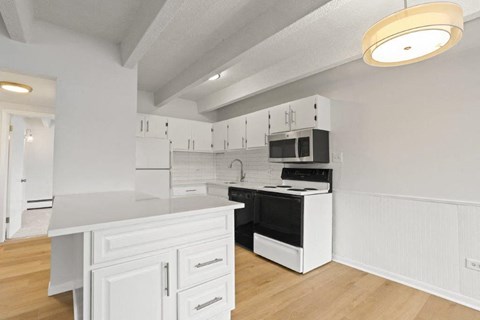 1998 S Columbine St 1-2 Beds Apartment, Denver for Rent - Photo Gallery 18